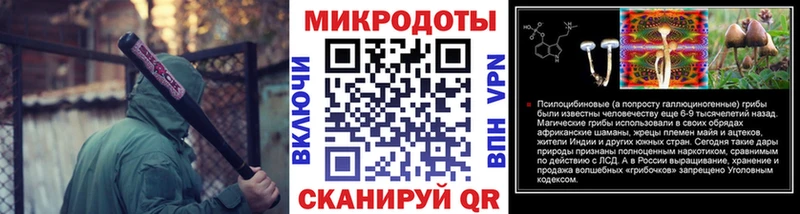 где купить наркоту  Отрадная  Псилоцибиновые грибы мицелий 